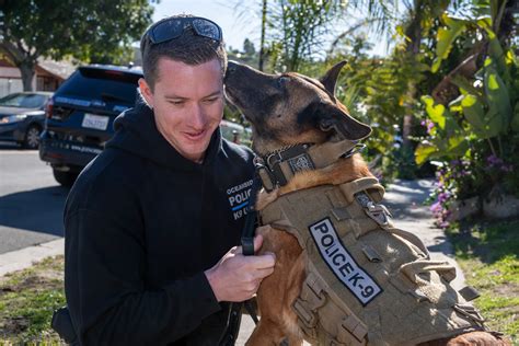Oceanside police dog 'Jenko' retires